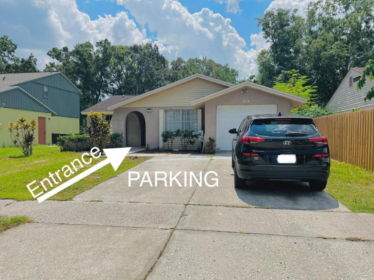 Apartament Jk Royal Studio - Great Location Tampa Zewnętrze zdjęcie